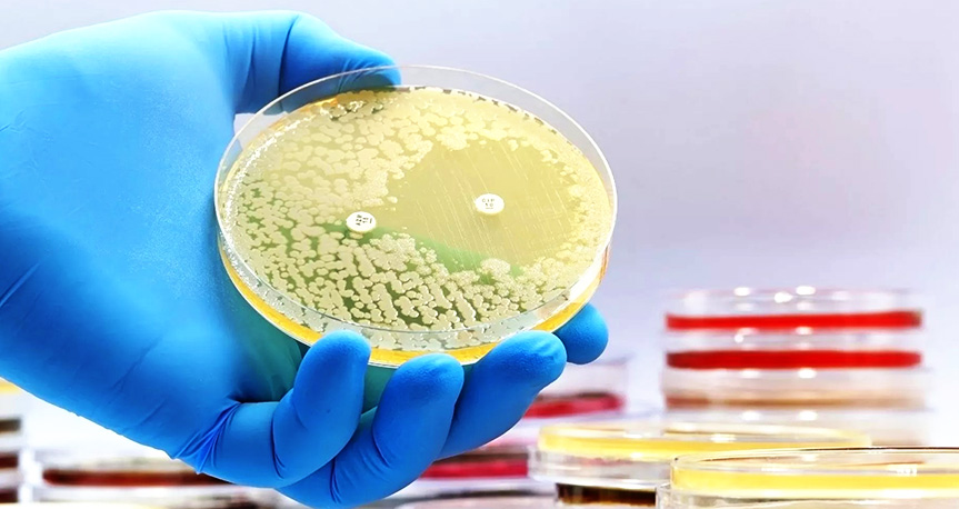 Ученые изобрели новый класс антибиотиков